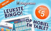 Bingocams