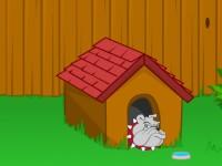 play Toon Escape - Backyard