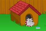 play Toon Escape Backyard