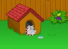 play Toon Escape - Backyard