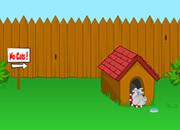 play Toon Escape - Backyard