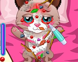 play Learning Pets Doctor