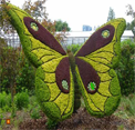 play Escape From Atlanda Botanical Garden