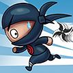 play Ninja Boy