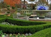 play Escape From Atlanda Botanical Garden