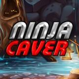 play Ninja Caver