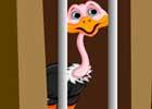 play Theescapegames Ostrich Rescue