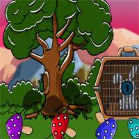 play Escape The Rabbit