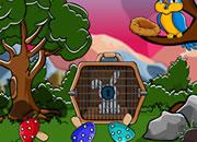 play Mirchi Escape The Rabbit