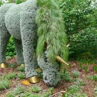 play Escape-From-Atlanda-Botanical-Garden