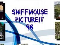 play Sniffmouse Pictureit 98