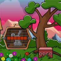 play Escape The Rabbit 2