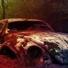 play Abandoned Vehicle Forest