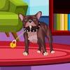 play Dexter Dog Escape