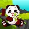 play Forest Polar Bear Escape