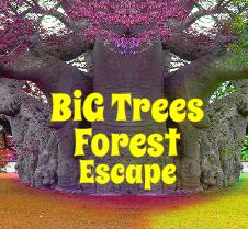 Novel Big Trees Forest Escape