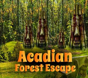 Novel Acadian Forest Escape