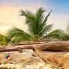 play Deserted Island Escape 2