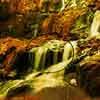 play Scotia Forest Escape