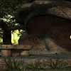 play Cave World Escape