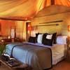 play Escape From Belmond Sanctuary Lodge