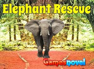 Novel Elephant Rescue From Forest