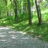 play Escape From Romanescu Park