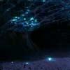 play Escape From Glow Worm Cave