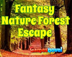 Novel Fantasy Nature Forest Escape