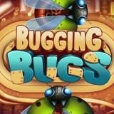 play Bugging Bugs