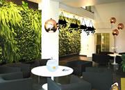 play Plant Furnishing House Escape