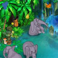 play My-Jungle