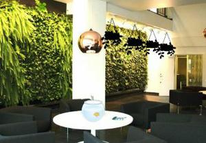 play Plant Furnishing House Escape Game