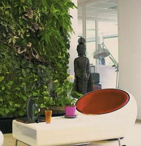 play 2Rule Plant Furnishing House Escape