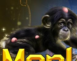 play Magician Monkey Cure