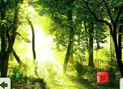 play Escape Green Forest