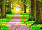 play Spring Forest Escape