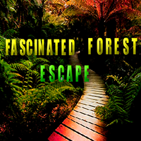 Avm Fascinated Forest Escape