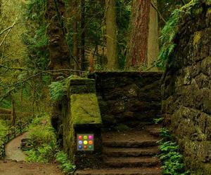 play Wowescape Tangle Forest Escape