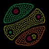 play Coloruid 2