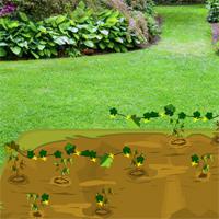 play Lawn Backyard Escape