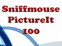 play Sniffmouse Pictureit 100