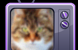 play Mystery Pic