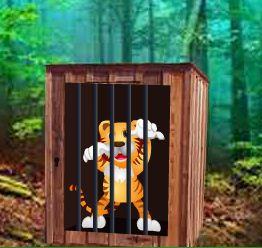 play Ajaz Comedy Tiger Escape