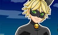 play Miraculous Ladybug Cat Noir Dress Up