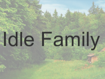 play Family Idle