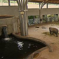 Elephant-Escape-From-Shed