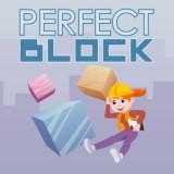 play Perfect Block