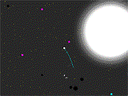 play Zoon
