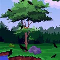 play Escape From Crow Forest